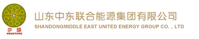 山东中东联合能源集团有限公司